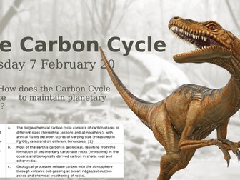 Introduction to the Carbon Cycle