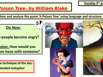 A Poison Tree detailed lesson