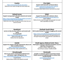 Cornwall Mental Helath and well being services overview