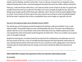 Comparison Vocabulary unit of work