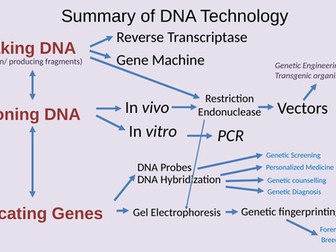 AQA A level Gene Technology