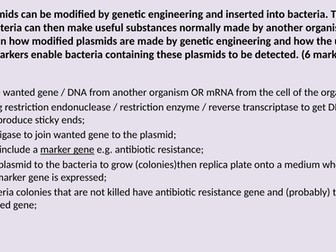 AQA A level Homeostasis