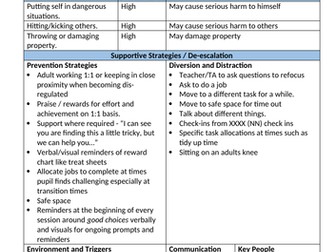 Support to self regulate plan/ risk assessment example