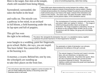 'A Century Later' Imtiaz Dharker analysis