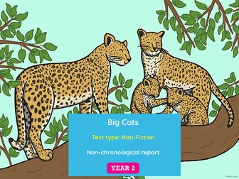 Y2 Big Cats Non Fiction Report Considine planning
