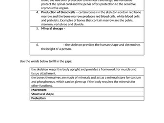 AQA GCSE PE - anatomy and physiology