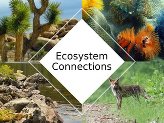 British Science Week Ecosystem Connection