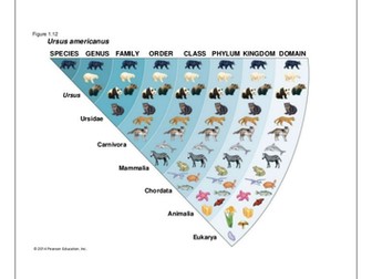 WJEC 2.1 Classification and biodiversity