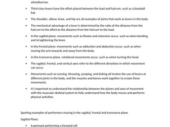 GCSE PE levers and planes of movement