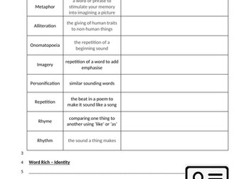 Unseen poetry worksheet on 'Mirror' by Plath