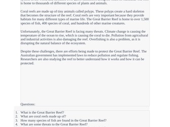 READING COMPREHENSION WORKSHEET WITH ANSWERS