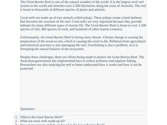 READING COMPREHENSION