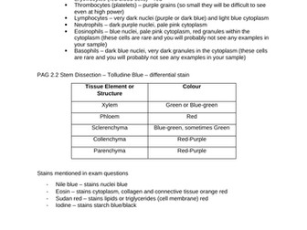OCR Biology A Level Stain Summary