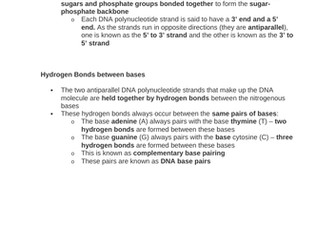 DNA Revision Notes