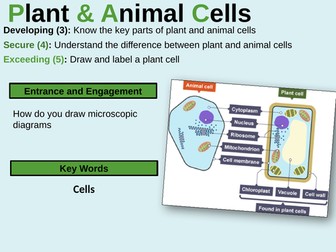 B1.2 Plant & Animal Cells - Year 7 Biology