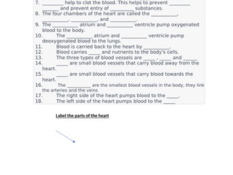 The Blood and Heart Scaffolding worksheet Junior Cycle Science