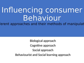 Consumer behavior Psychology A3 revision sheets