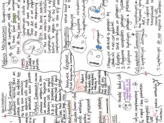 A Level Biology Knowledge Organiser . Revision Notes AQA Immunity