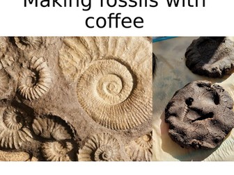 Coffee fossils
