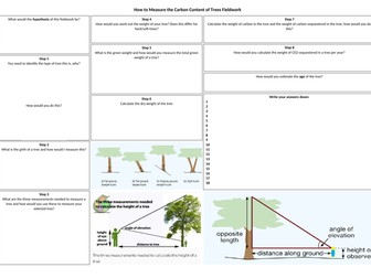 Carbon Fieldtrip Lesson