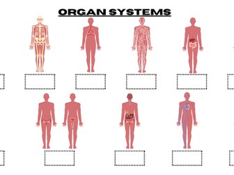 Organ Systems Cut and Stick