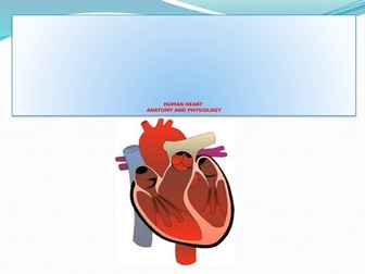 HUMAN HEART ANATOMY AND PHYSIOLOGY