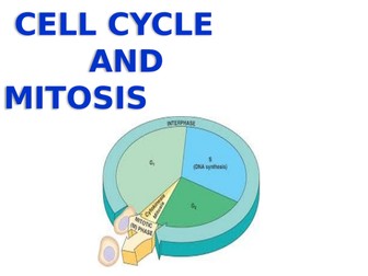 CELL CYCLE AND MITOSIS