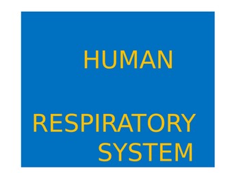 HUMAN RESPIRATORY SYSTEM