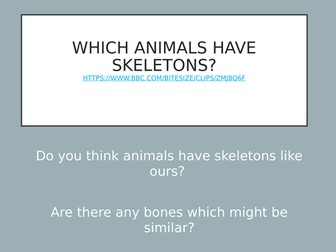 Animals and skeletons