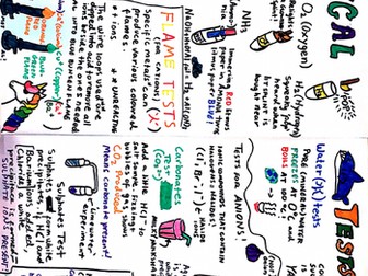 Chemical Tests Poster - IGCSE Chemistry Unit 2