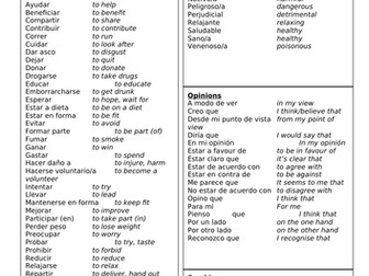 Spanish Revision Sheet, Theme 2, Unit 2