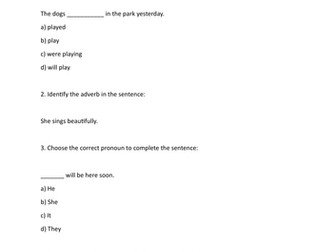 11+/Key stage 2 Practice Paper