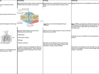 KS3 AQA Biology Movement and Breathing Differentiated Revision Mat