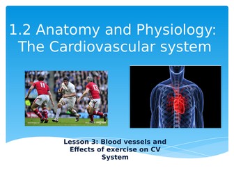 Cardiovascular system- Blood Vessels