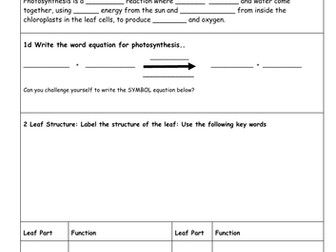 AQA  Paper 1 Topic 4 Bioenergetics - Photosynthesis & Respiration Revision Resources