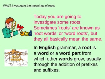 Y6 SPELLING ROOTS