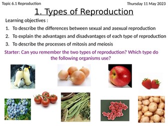 Sexual and Asexual Reproduction GCSE