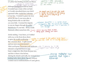 Poppies, Jane Weir -  Annotated Copy