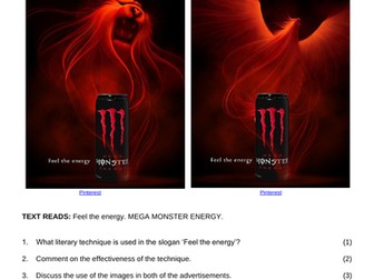 Visual Literacy (Advert and cartoon analysis)