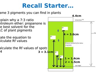 Aim C L5 Practising TLC of Plant Pigments