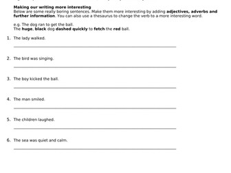 Expanded Noun Phrases