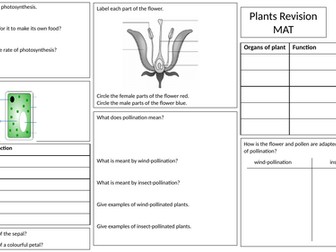 Plants revision MAT (4 pages in total, 2 pages of questions + 2 pages of answers)