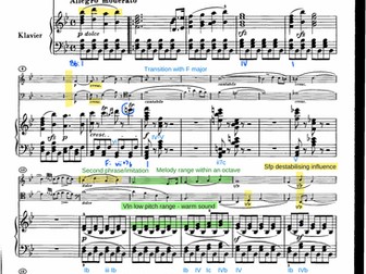 Beethoven - Piano Trio 7 in Bb - Annotated Score
