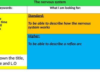 The Nervous system