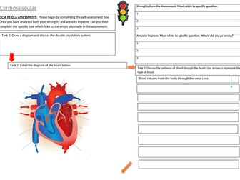 GCSE PE Cardiovascular  Worksheet and QLA x2