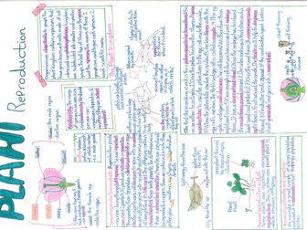 8B - Plant Reproduction Poster