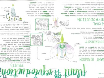 8B Plant Reproduction Poster