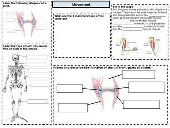 Activate 8.1 and 8.2 Revision (cells and movement)