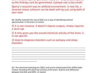 AQA Psychology Biopsychology