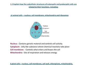 Edexcel GCSE Biology Topic 1 Grade 9 Notes